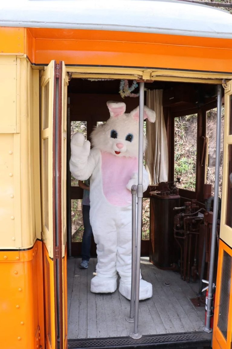 Easter_Bunny_355